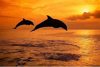 未来游戏展：银河恶魔城风格《武士之魂》预告片