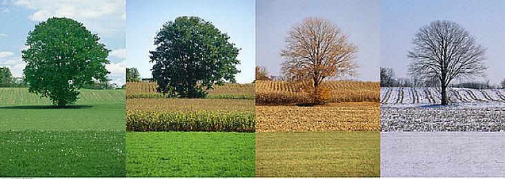 RTS《战锤西格玛时代：毁灭之国》实机演示发布 7月7日开放测试